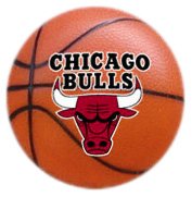 Chicago Bulls Sportz Splatz