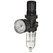 Dixon B07-202AGC Norgren Series Automatic Drain Carded Miniature Filter/Regulator with Transparent Bowl, 21 SCFM, 1/4" Port Size, 5-100 PSI