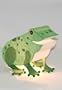 Freestanding Green Frog Night Light Table Lamp