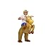 Airblown Inflatable Cowboy and Horse Costume