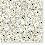 Hot Off The Press - White Roses paper