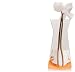Orange Plastic Foldaway Flower Vase