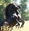 Friesen 2012 Kalender