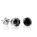 14K White Gold 0.25ct Black Diamond Stud Earrings