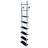 MAXWELL - Large Wall Mounted Glass and Chrome CD/ DVD / Media Storage Shelves - Black