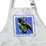 Maryland State Bird Baltimore Oriole - Waist Apron With Pockets