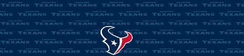 Houston Texans Team Auto Visor Decal