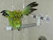 POLLY WINDOW & SHOWER PERCH LG