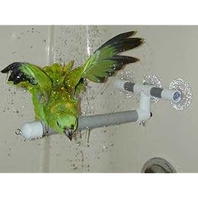 Pollys Pet Products Window or Shower Bird Perch Size Large (Blue)