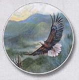 Eagle, Mountain Patrol Auto Coaster, Single Coaster for Your Car