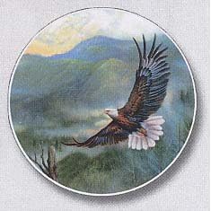 Click here to buy Eagle, Mountain Patrol Auto Coaster, Single Coaster for Your Car by Highland Graphics.