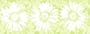 Girlie Girl Green Wallpaper Border in Brothers and Sisters