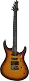 Washburn RX Series RX20FVSB Electric Guitar