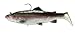 Okuma Fishing Tackle Savage Gear Real Trout Swimbait Slow Sinking Lure, Dark Trout, 7-Inch - 2 2/3-Ounce