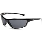 Arnette Asylum Polarized Sunglasses