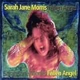 Fallin Angel