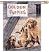 golden_retriever3golden retriever - Golden Retriever Puppies VerticalBanner Flag