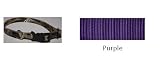 Hallmark 03913 0.625 Inch Wide Nylon Puppy Collar - Purple - 12 Inch