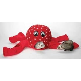 Marshall Ferret Octo-Play in Red