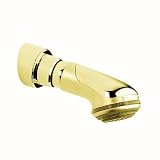 GROHE Relexa Dual Spray Showerhead with Integrated Shower Arm, Polished Brass #28191R00
