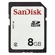 SanDisk 8 GB Class 2 SDHC Flash Memory Card SDSDB-8192 (Bulk Packaging)