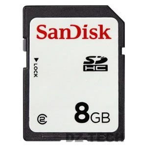 SanDisk 8 GB Class 2 SDHC Flash Memory Card SDSDB-8192 (Bulk Packaging)