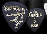 the GazettE TOUR 09 -DIM SCENE-　葵ＰＩＣＫ