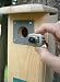 Backyard Birdhouse Nestbox with Night Owl Ö Night Vision camera