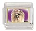 yorkshire_terrier33yorkshire terrier - YORKSHIRE TERRIER Italian Charm