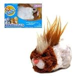 New Long Hair Zhu Zhu Pets Rockstars - Pax
