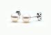 Freshwater Cultured Pearl Earrings 6-6.5mm White Pearls with Silver Mount