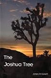 Joshua Tree