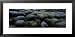 Moss on Rocks, Iceland Framed Art Poster Print by Panoramic Images, 31x15