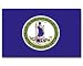 Virginia  Flagge Fahne 90 * 150 cm