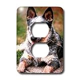Dogs Australian Cattle - Australian Cattle Dog - Light Switch Covers - 2 plug outlet cover