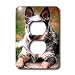 Dogs Australian Cattle - Australian Cattle Dog - Light Switch Covers - 2 plug outlet cover