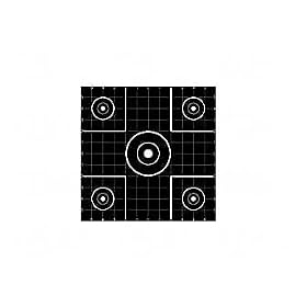 Birchwood Casey Dirty Bird PSI-12 Target 12 Sight-In 12 Pack