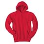 Adult Hooded Sweatshirt
