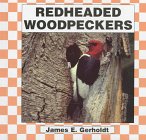 Red-Headed Woodpeckers (Birds)