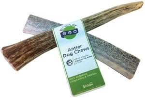Organic Elk Antler Dog Chew Treats | Small (6-7 inches) | 100% Naturally Shed | Sourced from Bend, Oregon