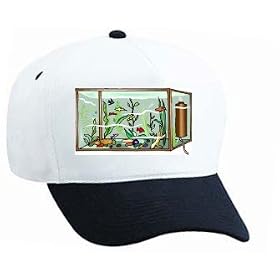 White Cap with tank, fish, pets, aquarium