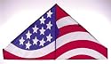 Go Fly A Kite Usa 4.5 Delta Kite