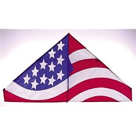 Go Fly A Kite Usa 4.5 Delta Kite