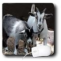 Farm Animals - Pygmy Goat - Mouse Pads