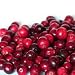 "Cranberry" Candle Fragrance Oil - 4 oz. Bottle