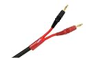 Monster Z1 MT-C10 Center Channel Affordable Audiophile Speaker Cable with M Bananas (10 ft.)
