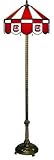 65 Floor Lamp Light University of South Carolina USC Gamecocks - Free Shipping