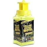 Black Flag Yellow Jacket Motel
