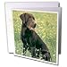 Dogs Labrador Retriever - Chocolate Labrador Retriever - Greeting Cards-12 Greeting Cards with envelopes