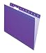 Pendaflex Hanging Folder, Violet, 1/5 Tab, Letter, 25 Box, 4152 1/5 VIO